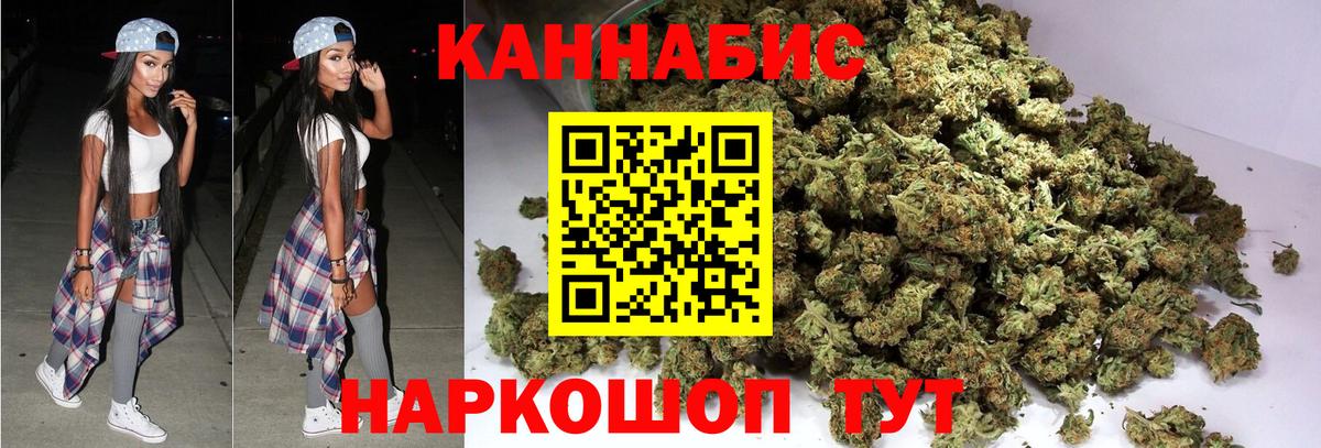 Бошки Шишки планчик Химки